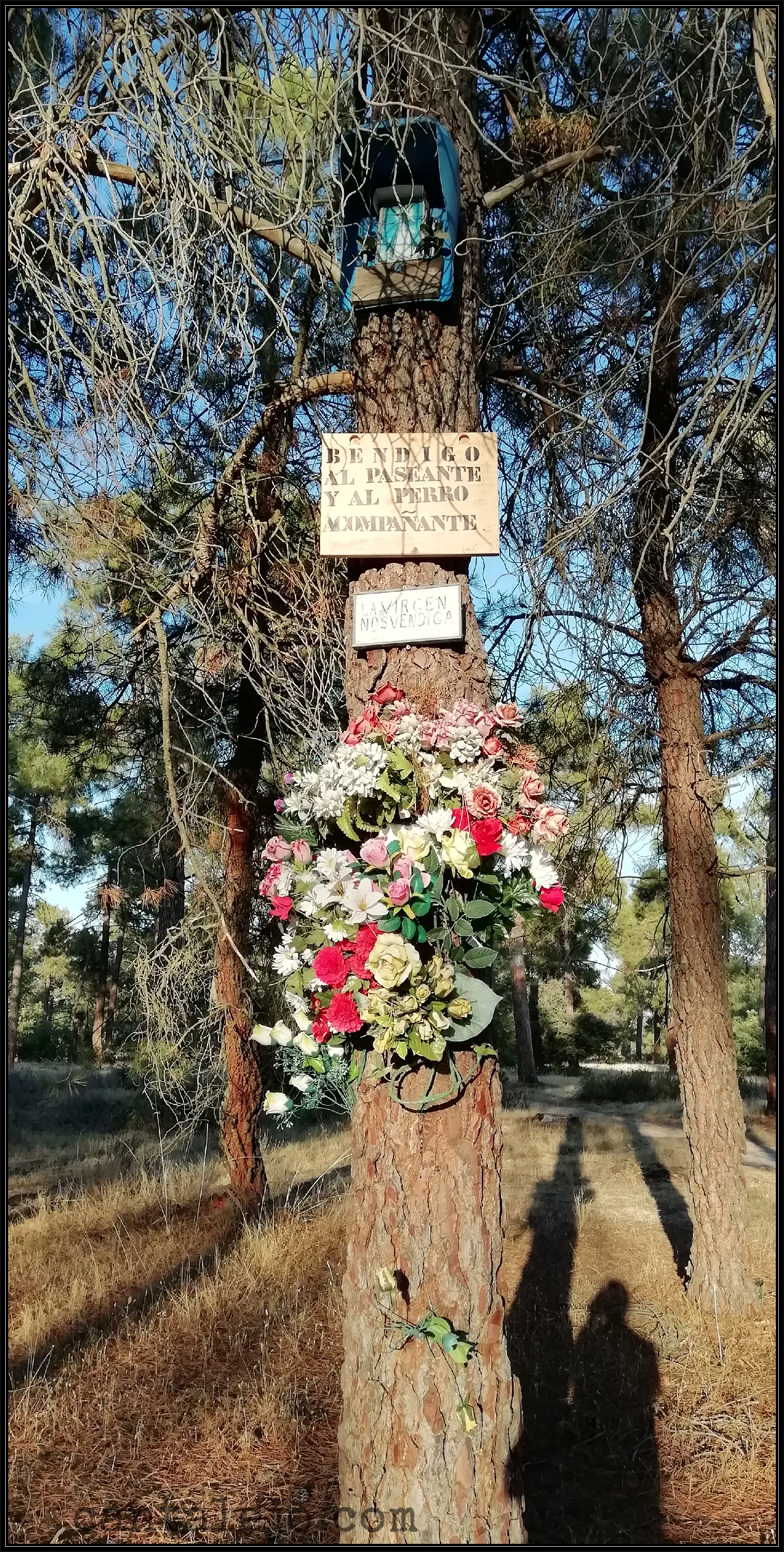 Altar En El Pinar 