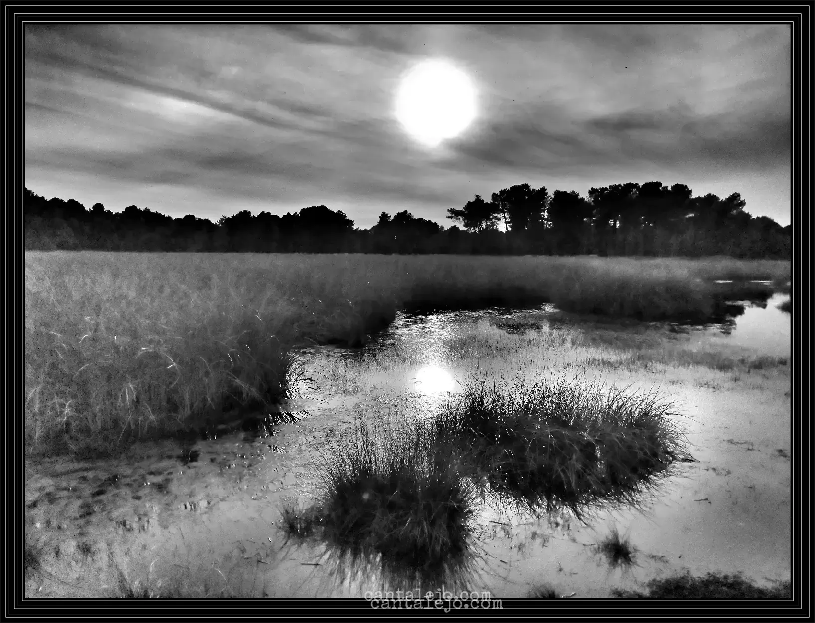 Laguna En Blanco Y Negro