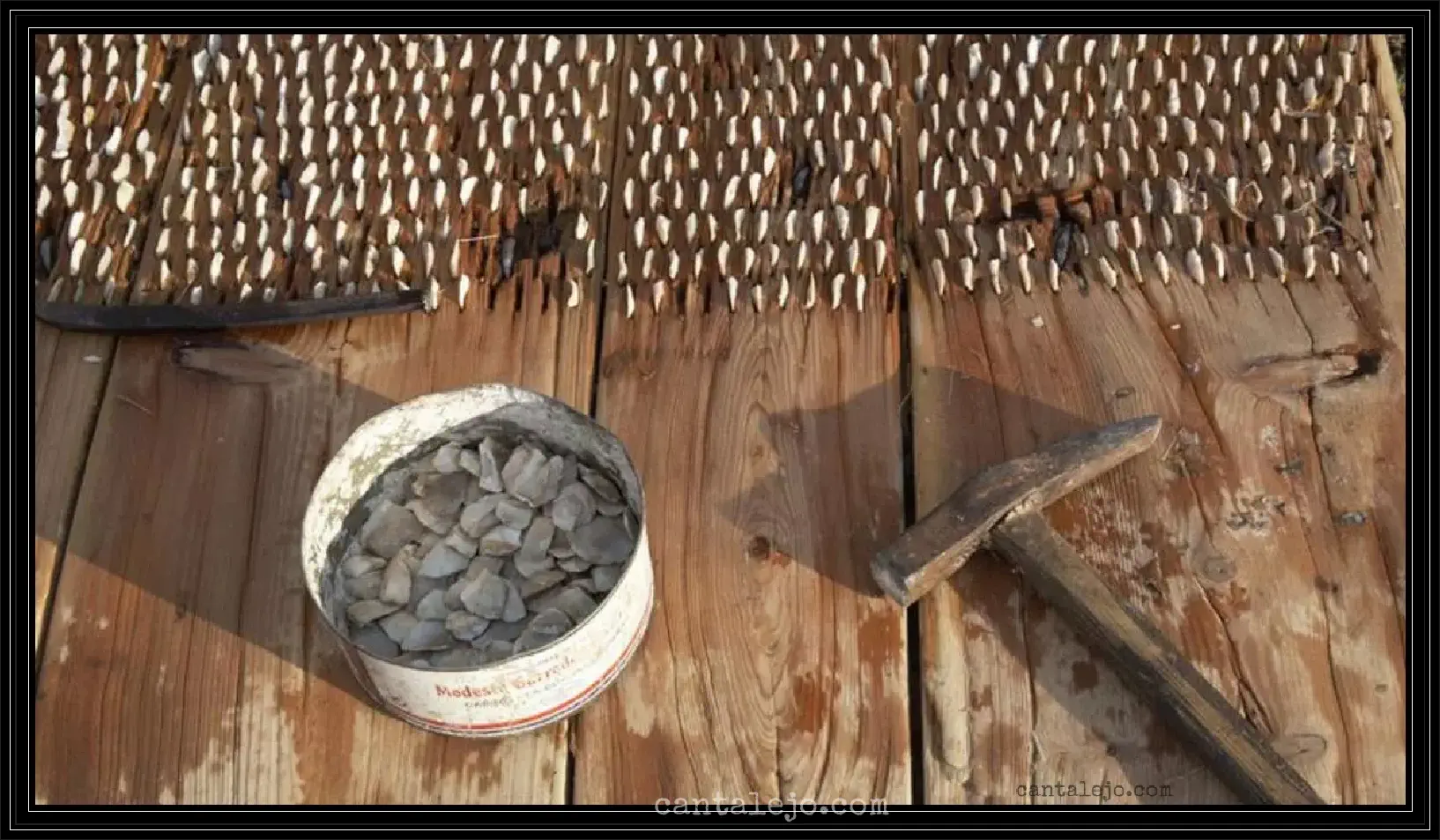 Piedras De Trillo