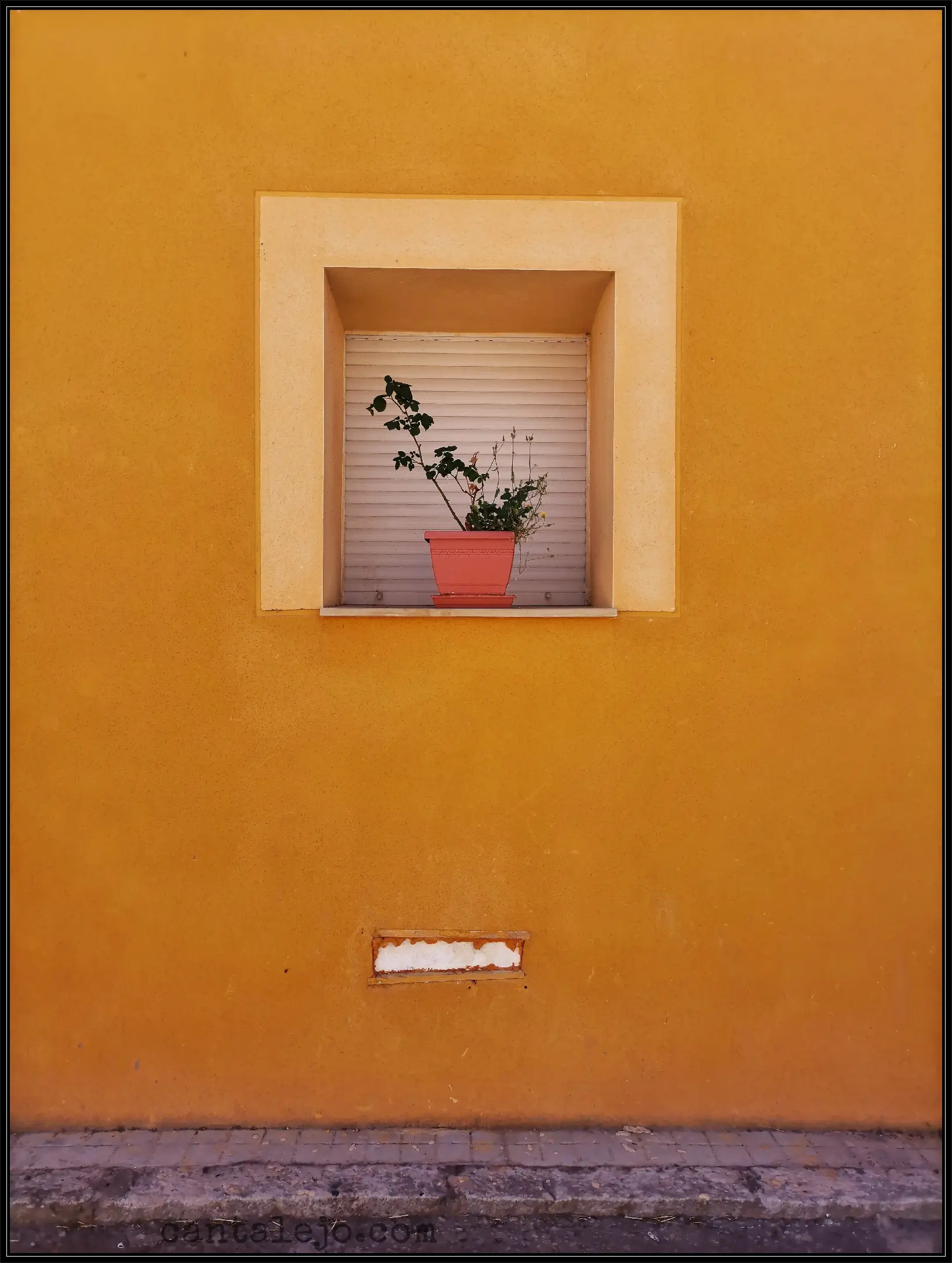 Ventana Polvorosa Maldonado 